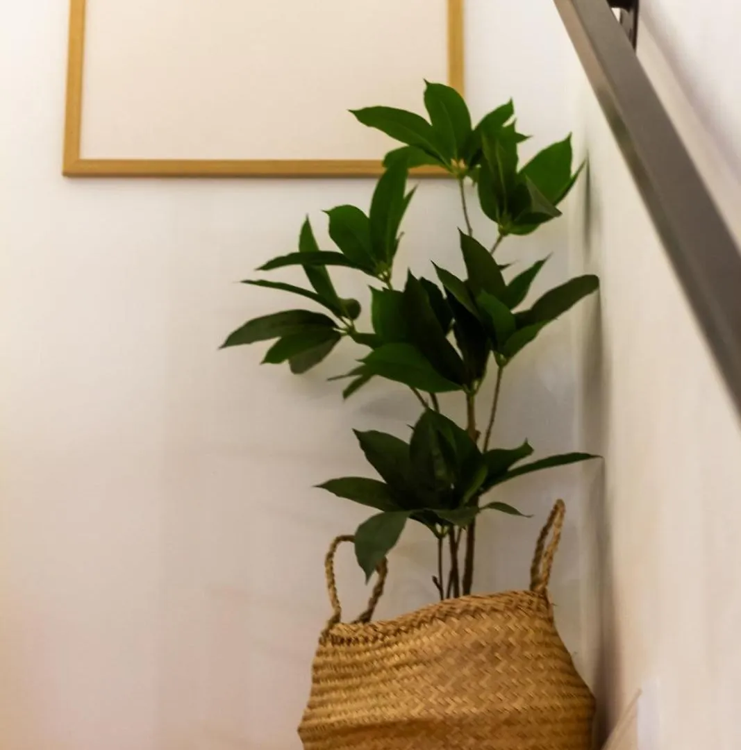 Apartment Budavibe Apartman W Ac By Nw Budapest